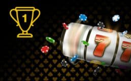 vtv33 live betting