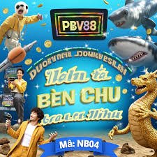 vtv33